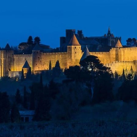 Le Panoramique - Sublime Vue Sur La Cite Daire Carcassonne Dış mekan fotoğraf